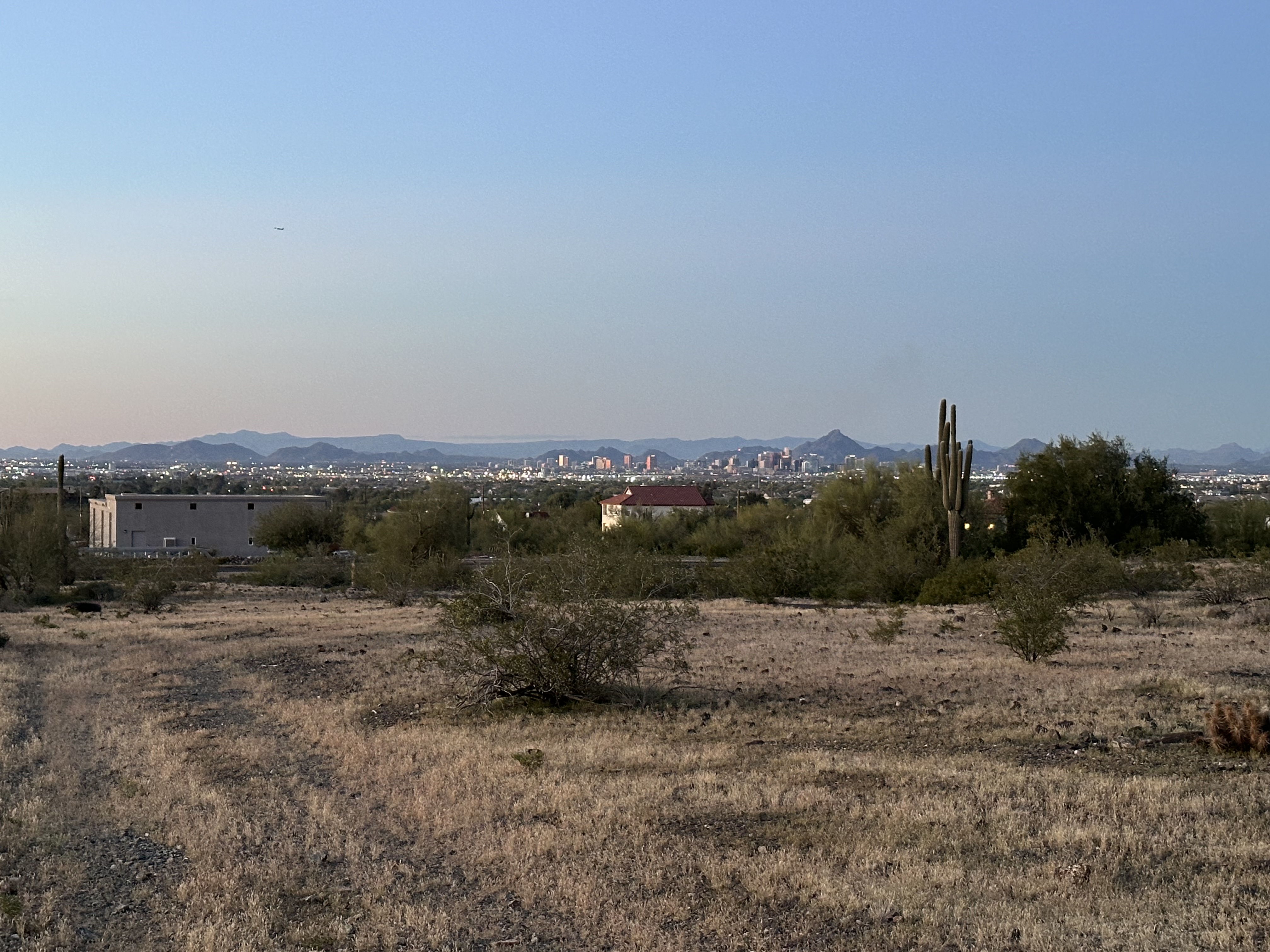 Downtown Phoenix skyline view from the lot with saguaro cacti